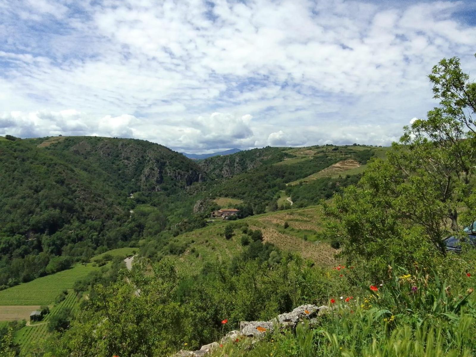 Gites De Revirand Sarras Εξωτερικό φωτογραφία