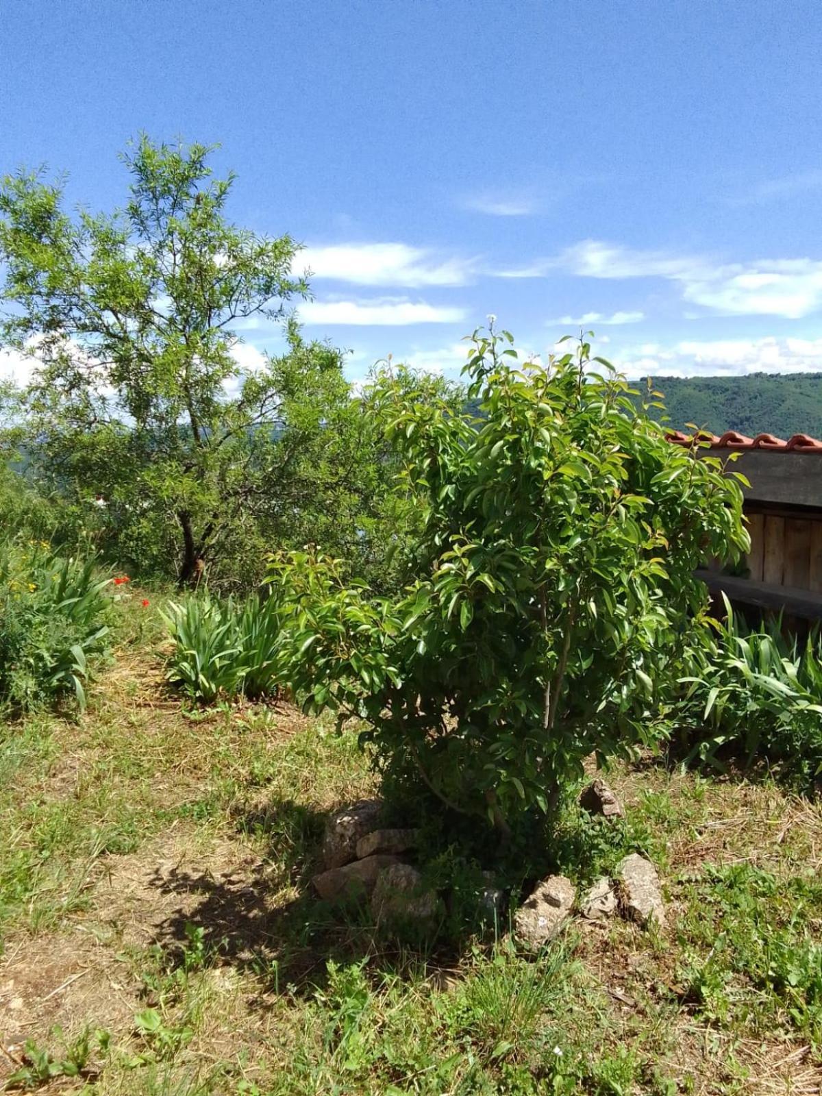 Gites De Revirand Sarras Εξωτερικό φωτογραφία