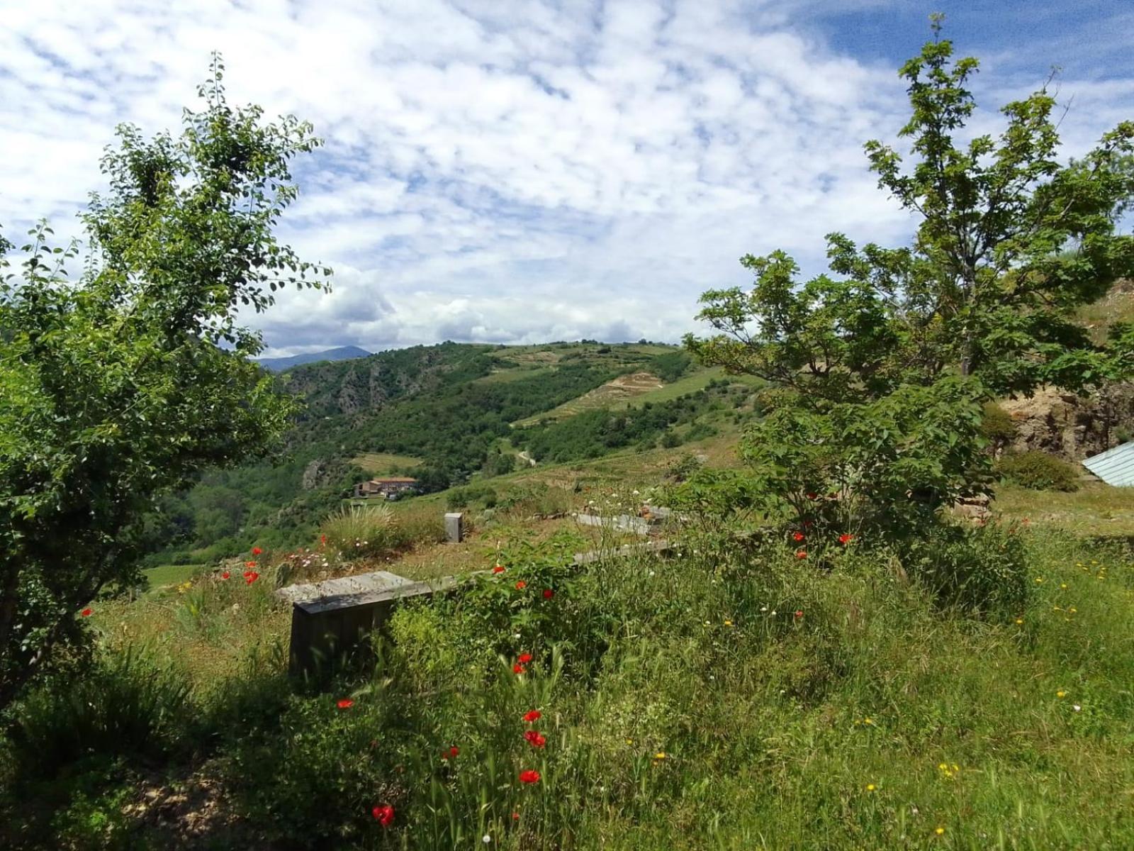 Gites De Revirand Sarras Εξωτερικό φωτογραφία